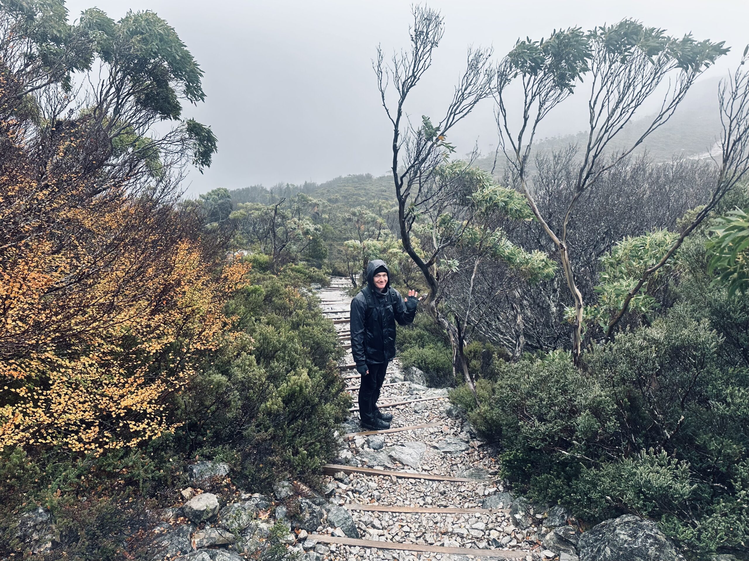 Wet, windy and slightly cold